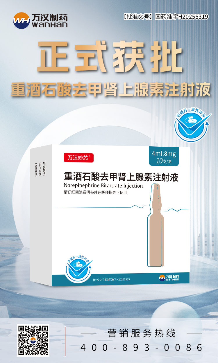 重酒石酸去甲腎上腺素注射液